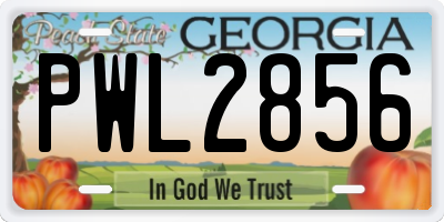 GA license plate PWL2856