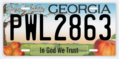 GA license plate PWL2863