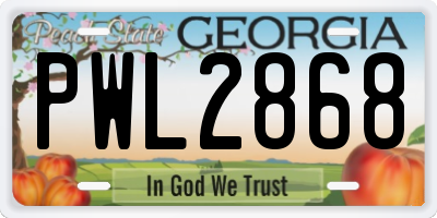 GA license plate PWL2868