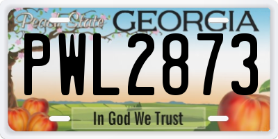 GA license plate PWL2873