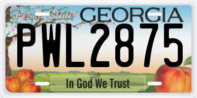 GA license plate PWL2875