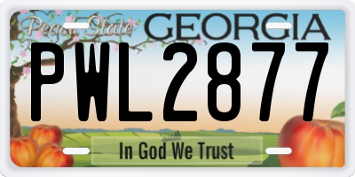 GA license plate PWL2877
