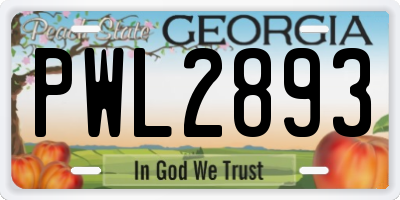 GA license plate PWL2893