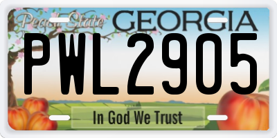 GA license plate PWL2905