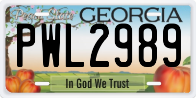 GA license plate PWL2989