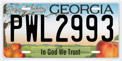 GA license plate PWL2993