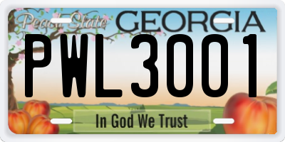 GA license plate PWL3001