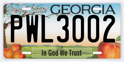 GA license plate PWL3002