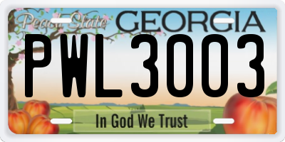 GA license plate PWL3003