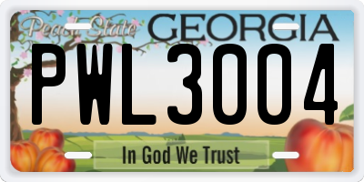 GA license plate PWL3004