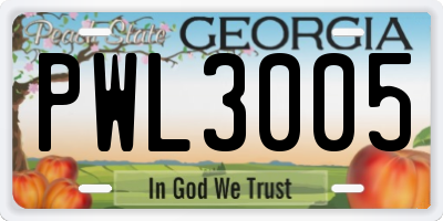 GA license plate PWL3005