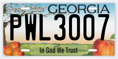 GA license plate PWL3007