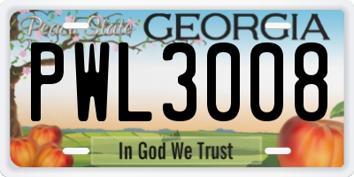 GA license plate PWL3008