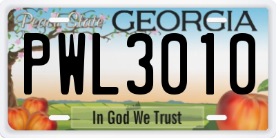 GA license plate PWL3010