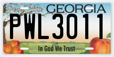 GA license plate PWL3011
