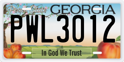 GA license plate PWL3012
