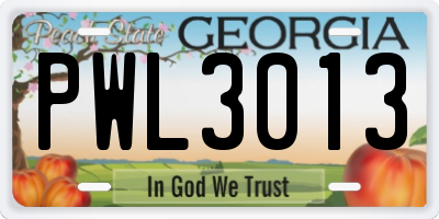 GA license plate PWL3013