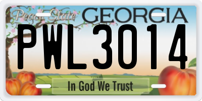 GA license plate PWL3014