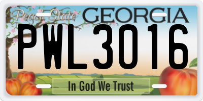 GA license plate PWL3016