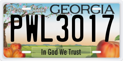 GA license plate PWL3017