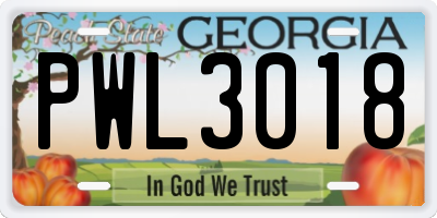 GA license plate PWL3018