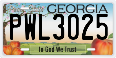 GA license plate PWL3025