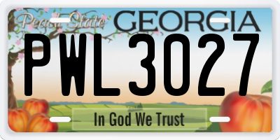 GA license plate PWL3027