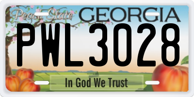 GA license plate PWL3028