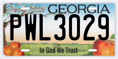 GA license plate PWL3029