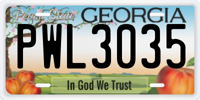 GA license plate PWL3035