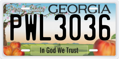 GA license plate PWL3036