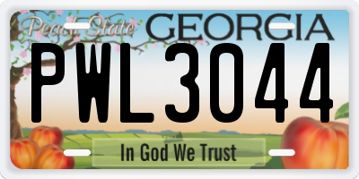 GA license plate PWL3044