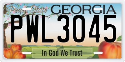 GA license plate PWL3045