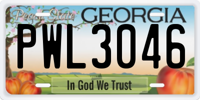 GA license plate PWL3046