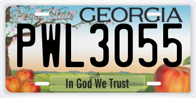GA license plate PWL3055