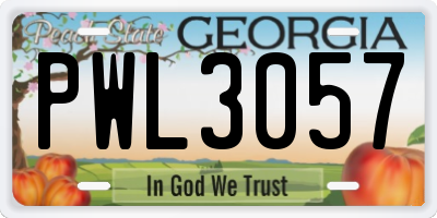 GA license plate PWL3057