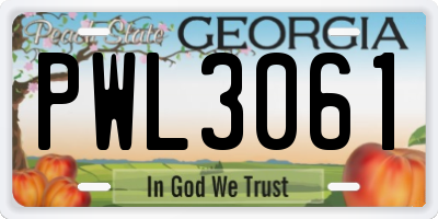 GA license plate PWL3061