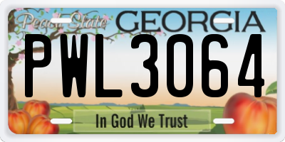 GA license plate PWL3064