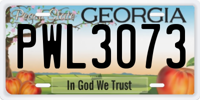 GA license plate PWL3073