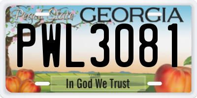 GA license plate PWL3081