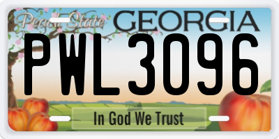 GA license plate PWL3096