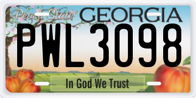 GA license plate PWL3098