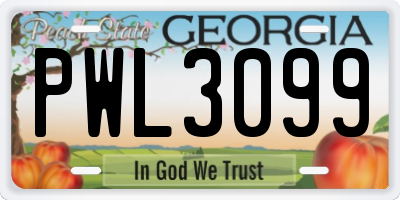 GA license plate PWL3099