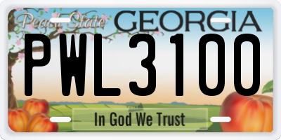 GA license plate PWL3100