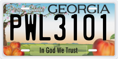 GA license plate PWL3101