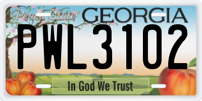 GA license plate PWL3102