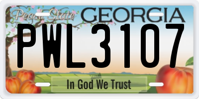 GA license plate PWL3107