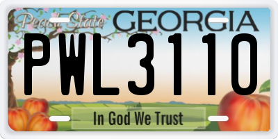 GA license plate PWL3110