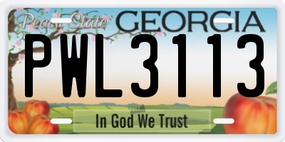 GA license plate PWL3113