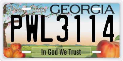 GA license plate PWL3114